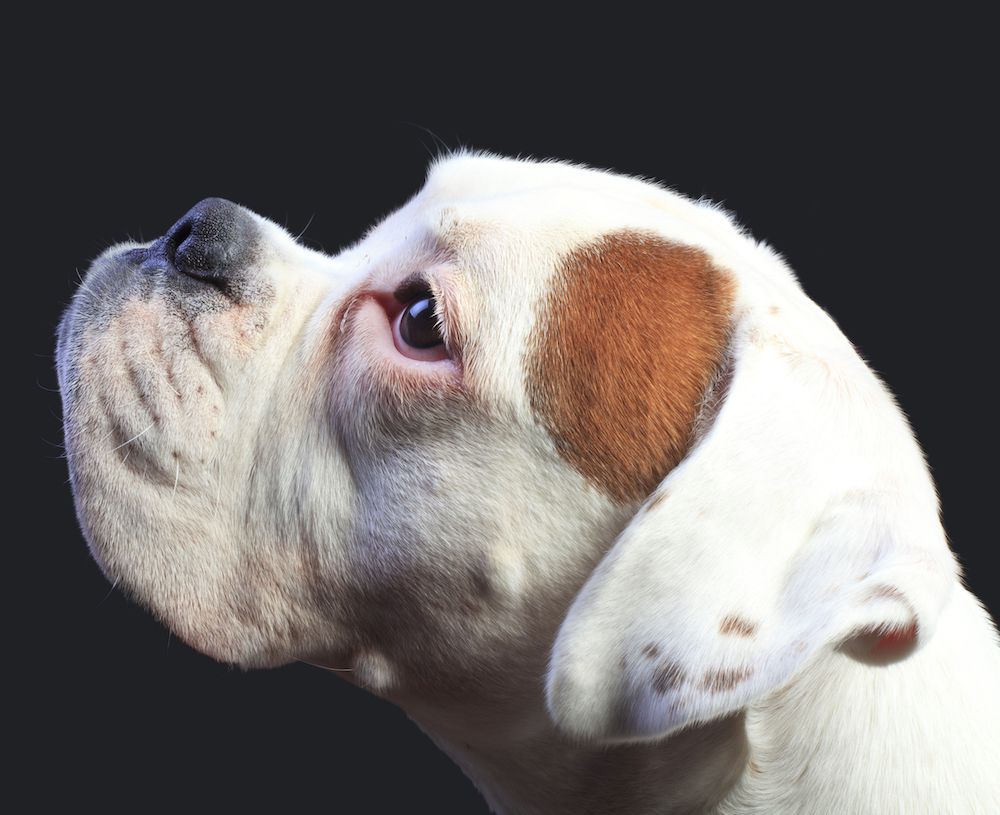 Question of the Week